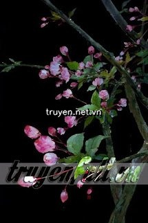 Xuyên Qua Tìm Được Hạnh Phúc