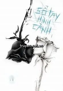 Sổ Tay Hình Cảnh