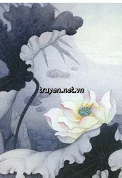 Thịnh Thế Hắc Liên Hoa