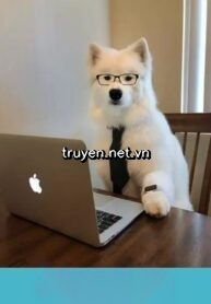 Sếp Tui Biến Thành Cún Rồi!
