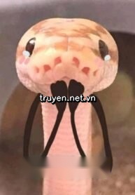 Ông Chủ Có Một Con Rắn Đen Nhỏ