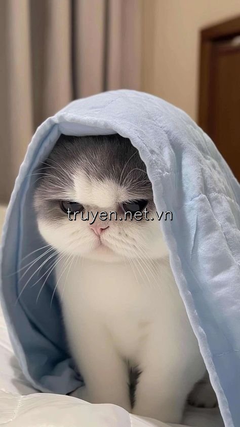 Nữ Phụ Độc Ác Phản Nghịch Rồi
